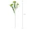 12 Pack: Green Queen Anne's Lace Spray by Ashland®